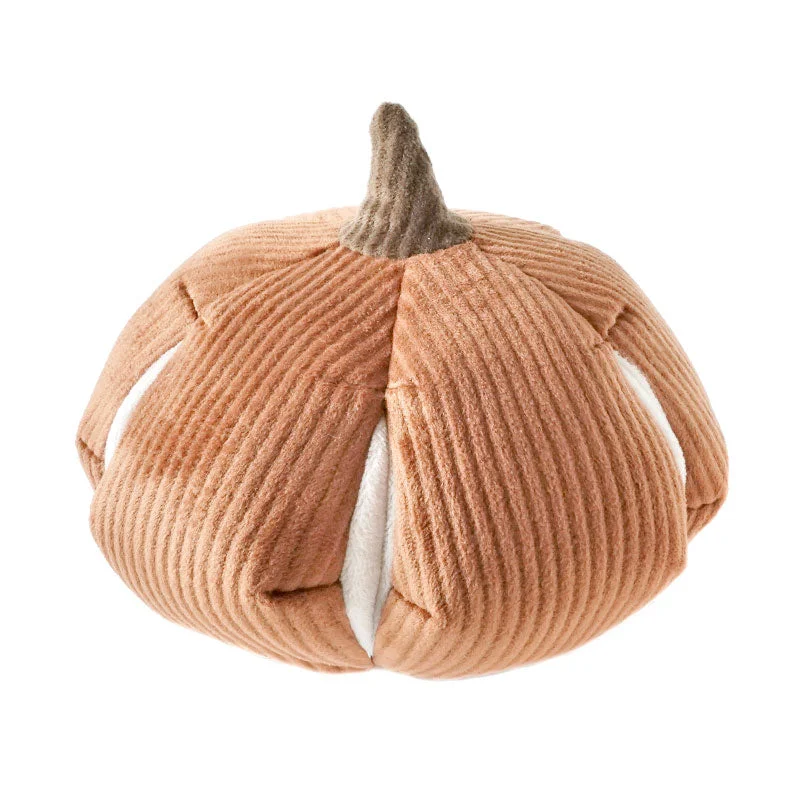 Cinderella Pumpkin Toy