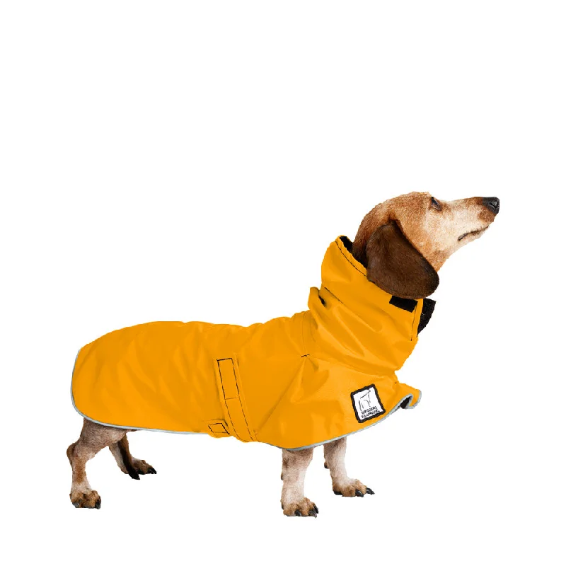 Miniature Dachshund Raincoat