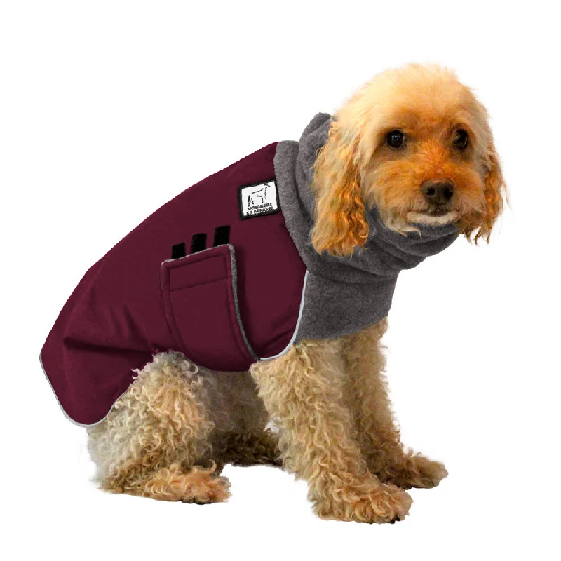 Miniature Poodle Winter Coat