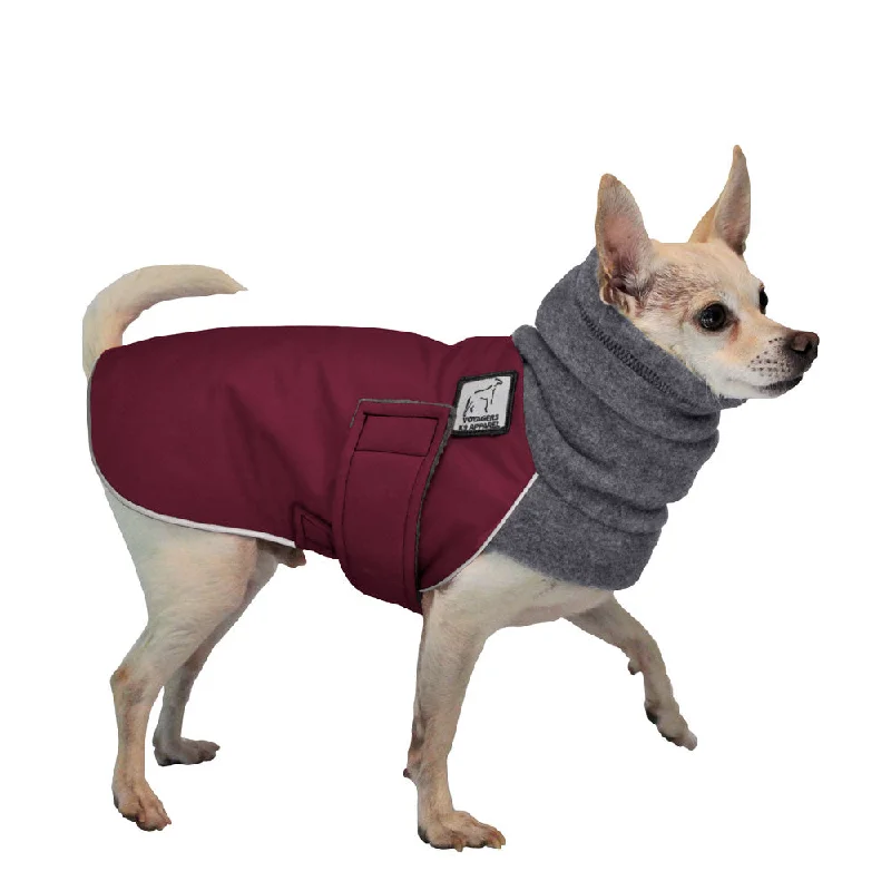 Chihuahua Winter Coat