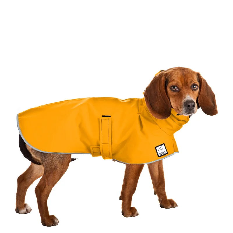 Beagle Raincoat