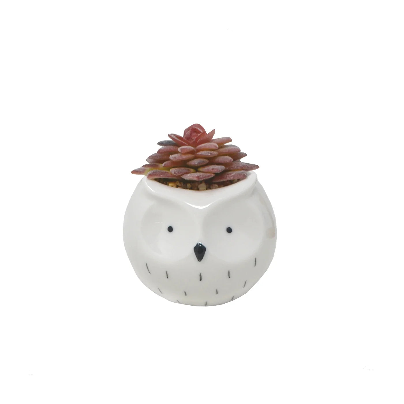 Owl Planter with Decorative Succulent