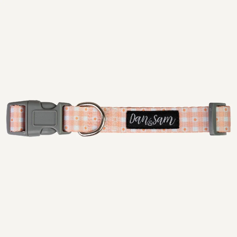 Dan & Sam - Dog Collar (Daisy Picnic) - Small