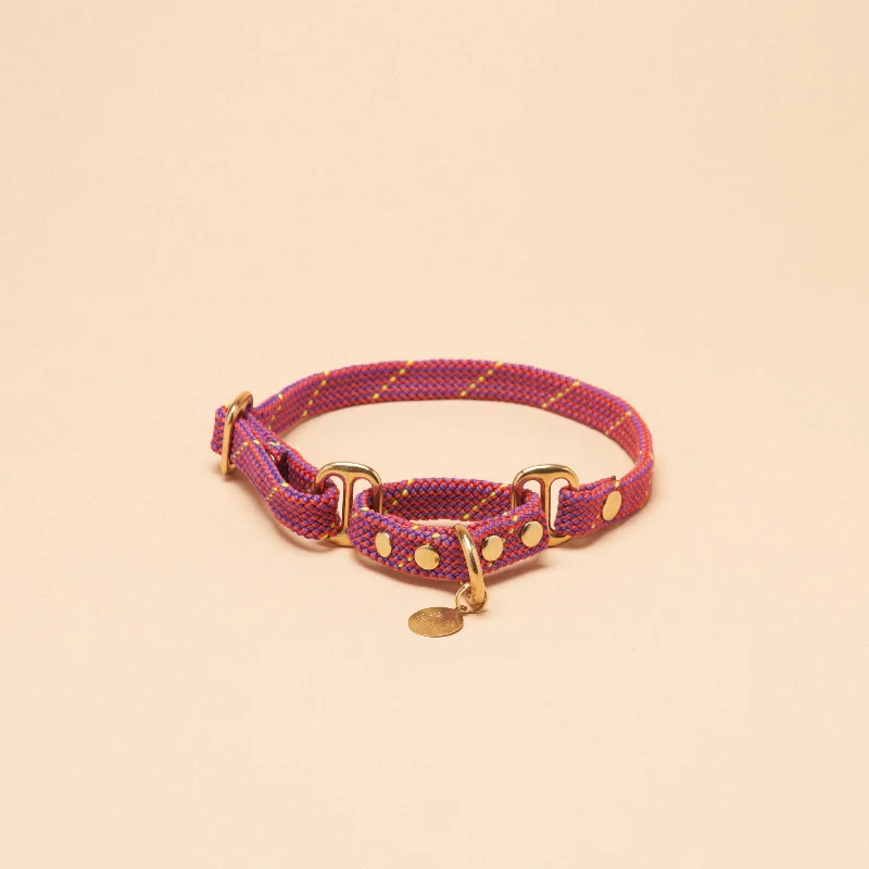 Remy Martingale Collar - Pink