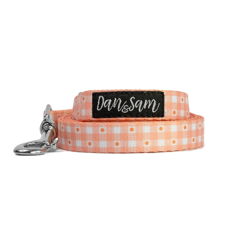 Dan & Sam - Dog Lead (Daisy Picnic) - Large