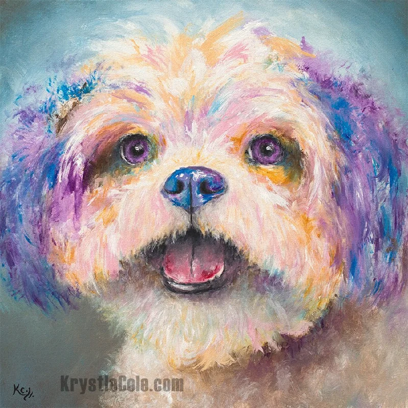 Shih Tzu Art Print