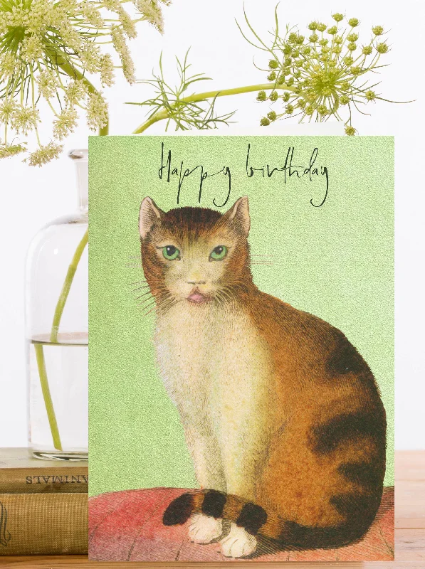 Cat Happy Birthday Card