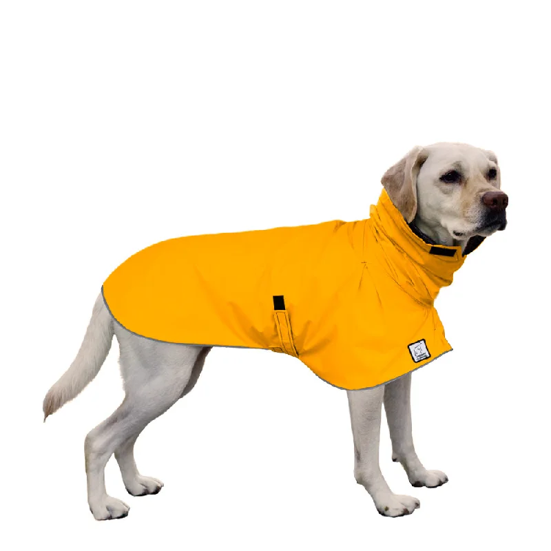 Labrador Retriever Raincoat