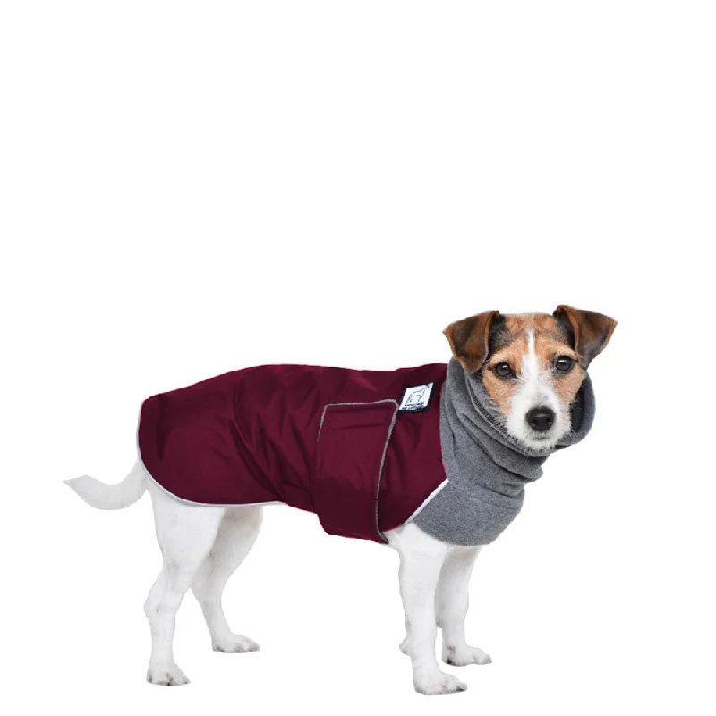 Jack Russell Terrier Winter Coat