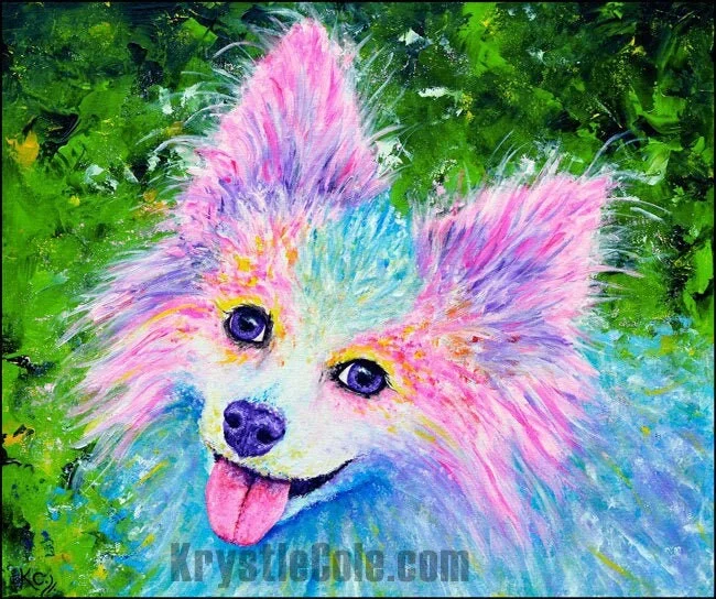 Papillon Pomeranian Dog Art Print