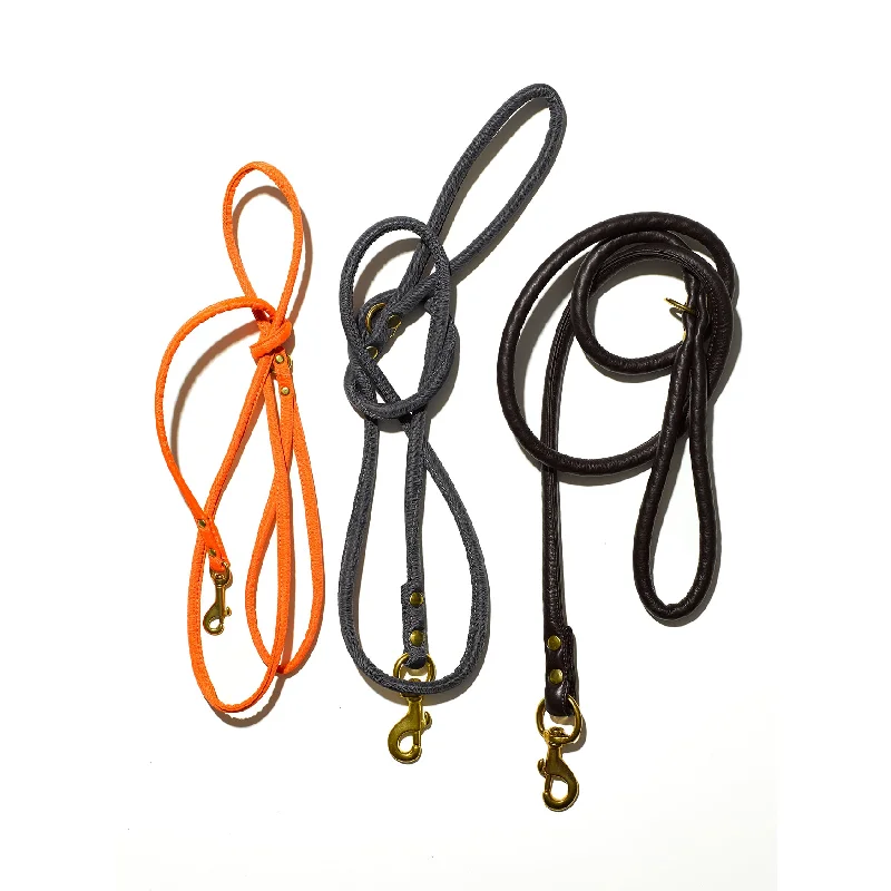 Nylon Dog Leash for Slip-On Collar