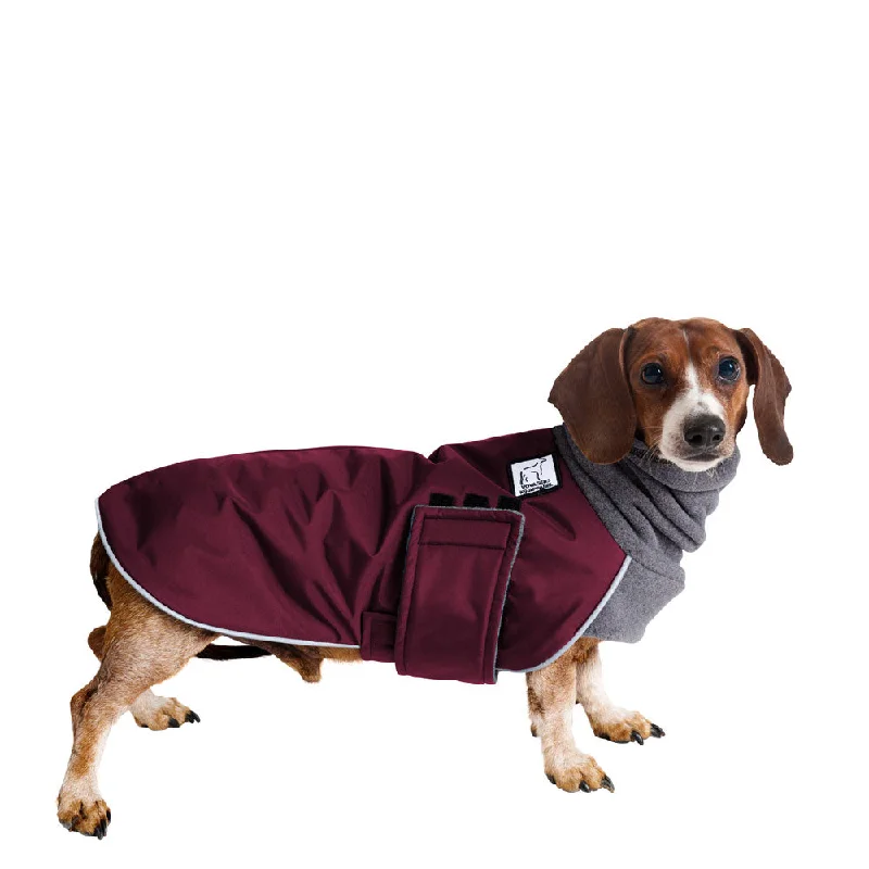 Dachshund Winter Coat