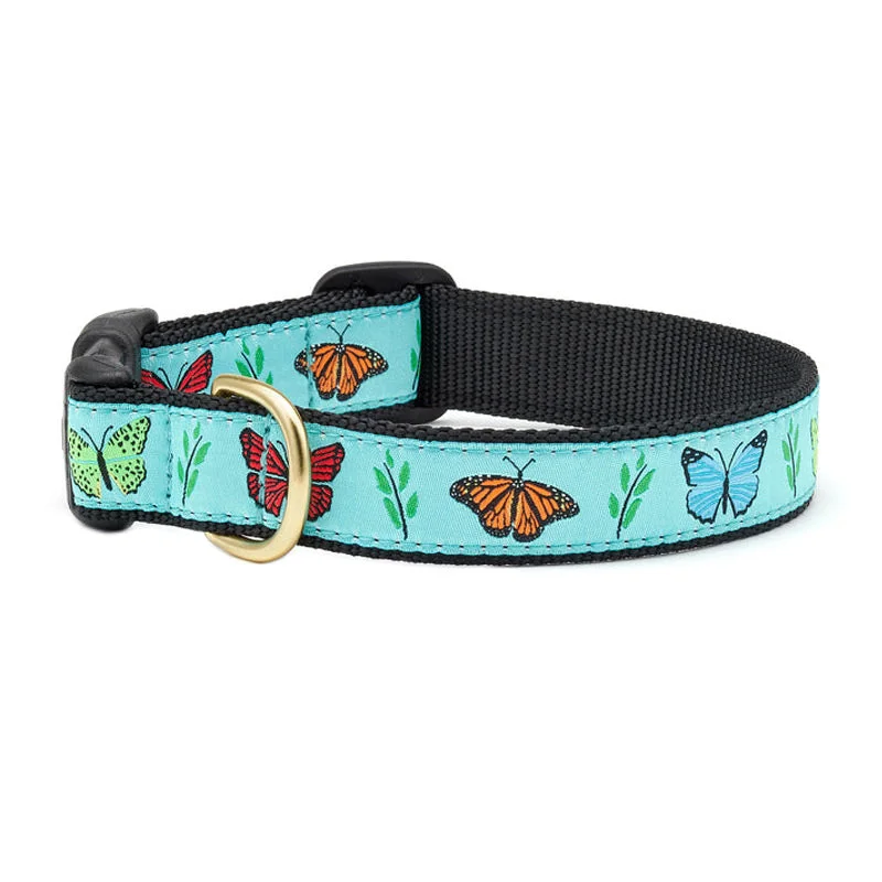 Butterfly Effect Collar