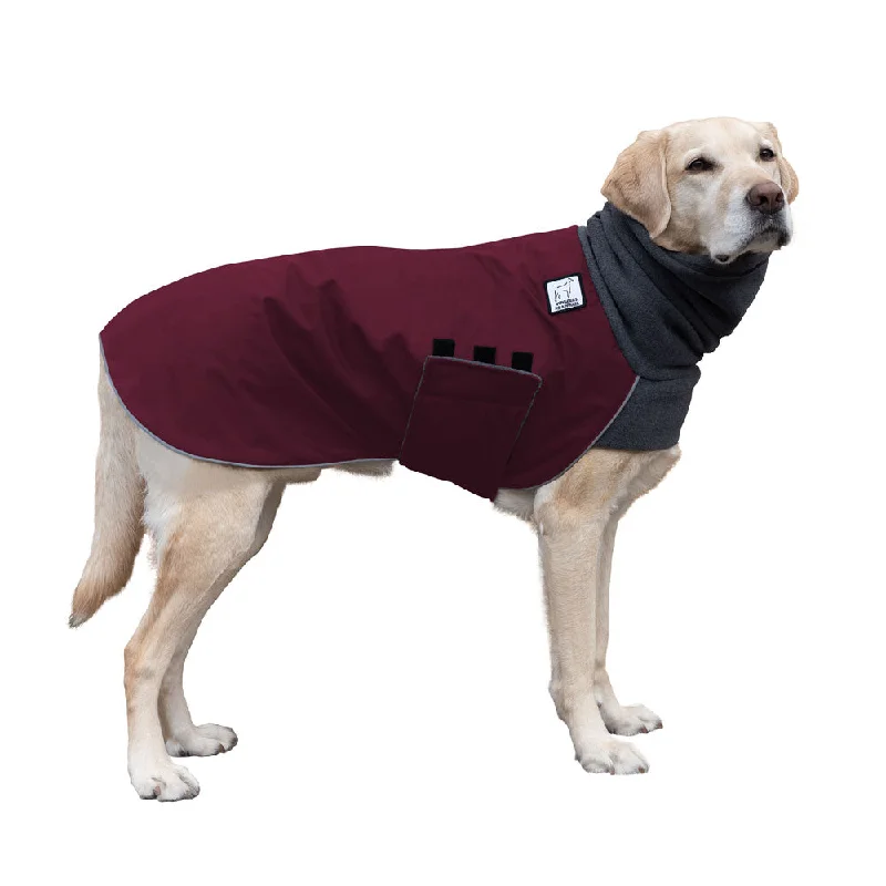 Labrador Retriever Winter Coat