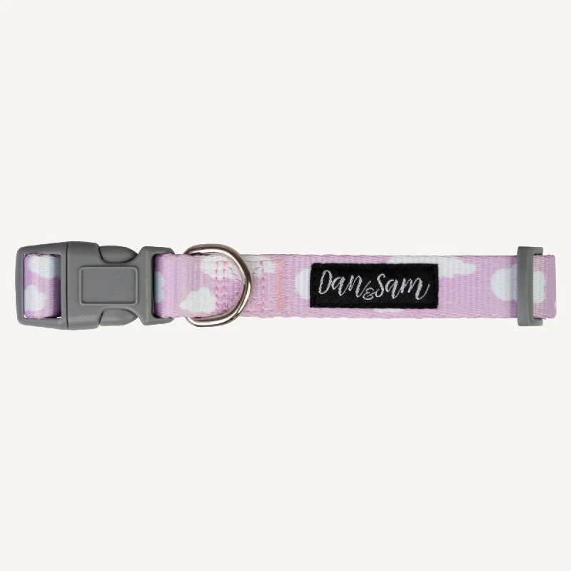 Dan & Sam - Dog Collar (Dreamer) - Medium