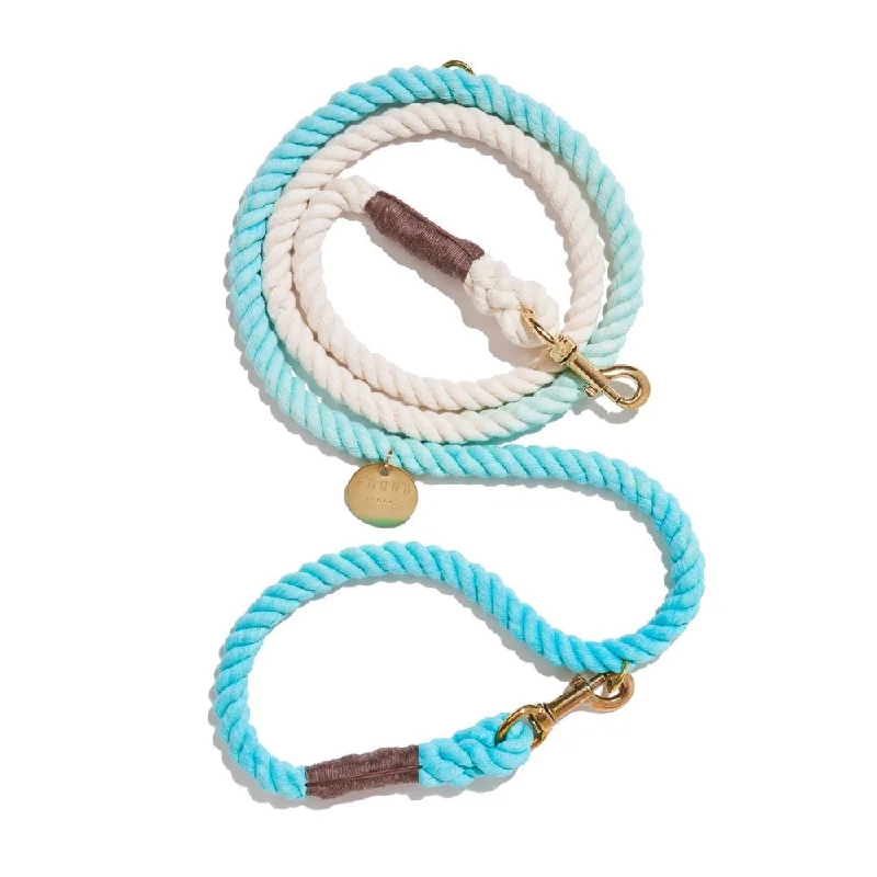 Robins Egg Blue Cotton Rope Dog Leash | Bolt Snaps, Adjustable