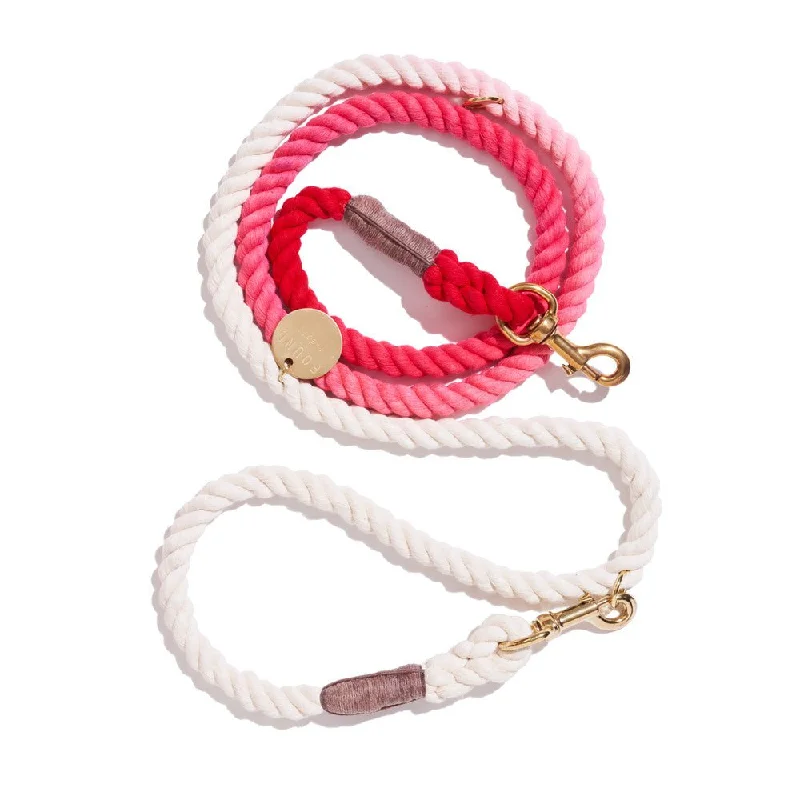 Scarlet Cotton Rope Dog Leash | Italian Solid Bronze Bolt Snaps, Adjustable