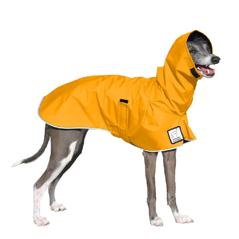 Italian Greyhound Raincoat