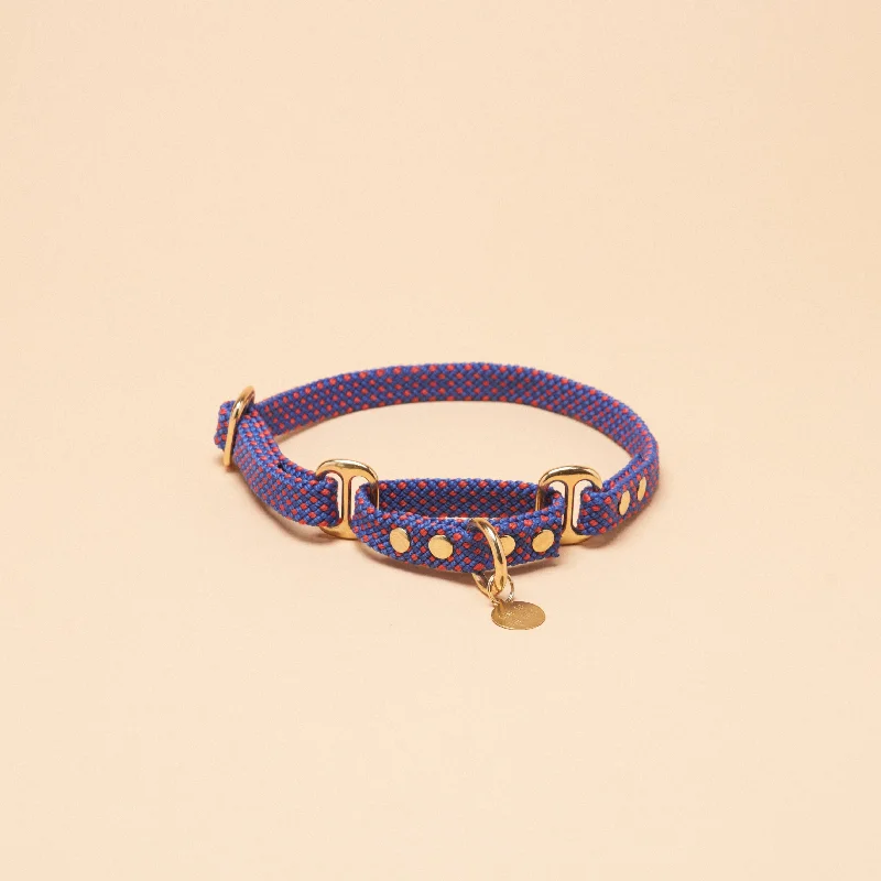 Remy Martingale Collar - Purple