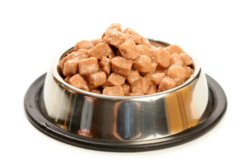 Wet Dog Food - Virtual Gift 🎁