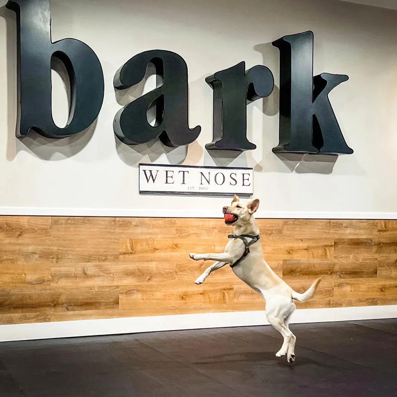 BARK Room – Private Playtime