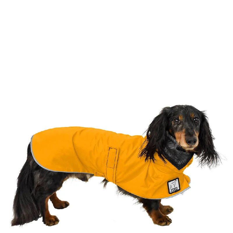 Dachshund Raincoat