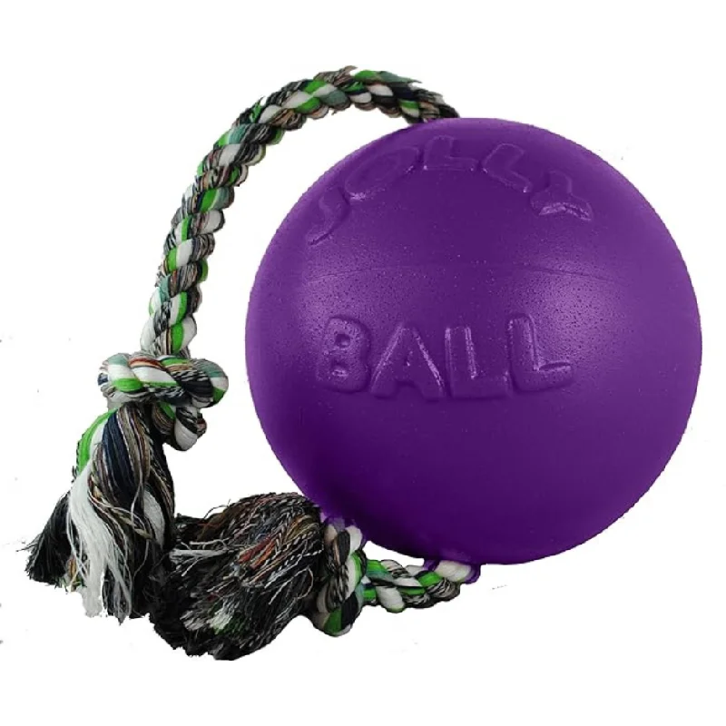 Jolly Pets Romp-N-Roll Purple