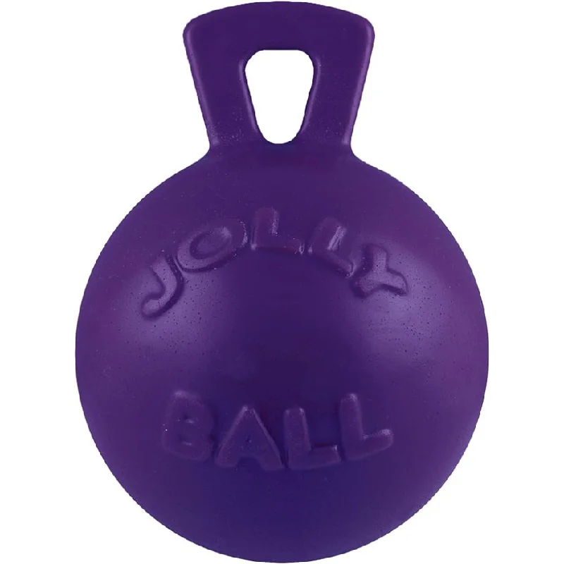 Jolly Pets Tug-N-Toss Purple