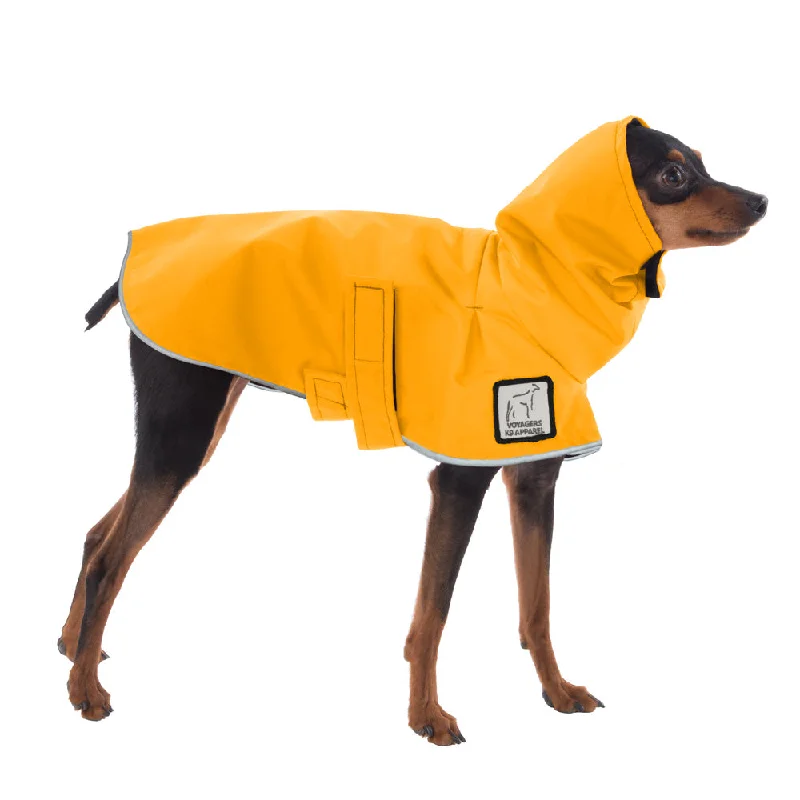 Miniature Pinscher Raincoat