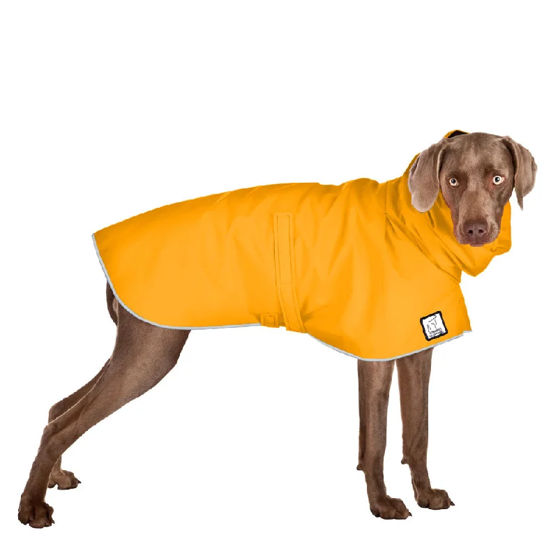 Weimaraner Raincoat