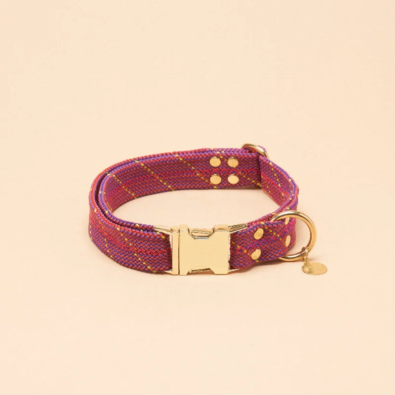 Dexter Large Dog Collar - Pink