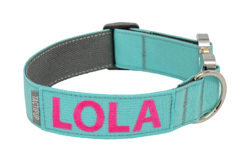 Silver Edition - Extreme Personalized 1.5" Dog Collar