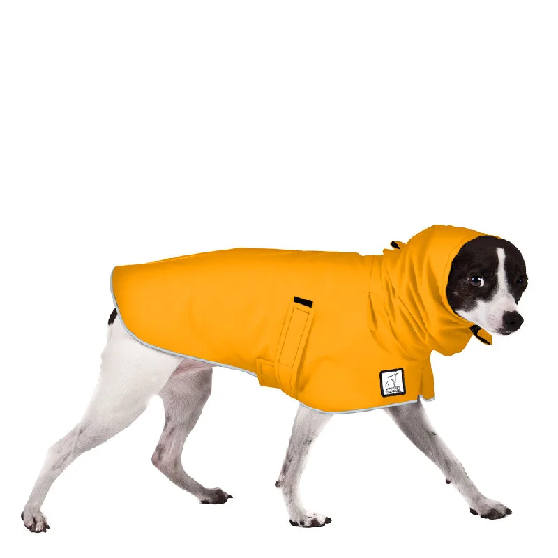 Rat Terrier Raincoat