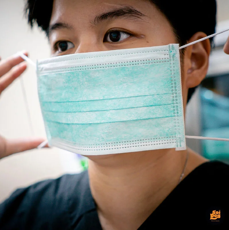 Surgical Masks - Virtual Gift 🎁