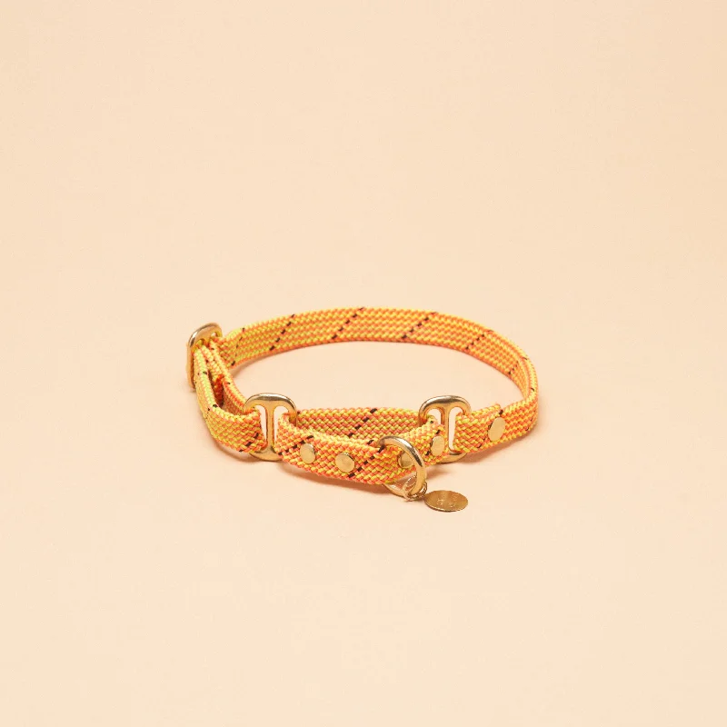 Remy Martingale Collar - Turbo Yellow