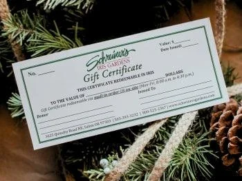 E-Gift Certificate