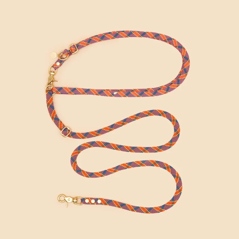 Cooper Hands Free Leash - Orange