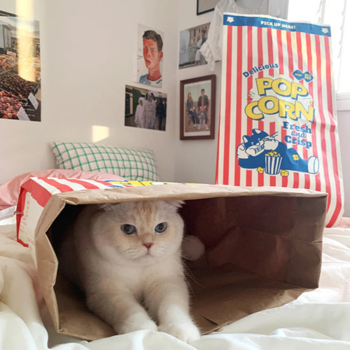 Bite Me - Popcorn Cat Paper Bag