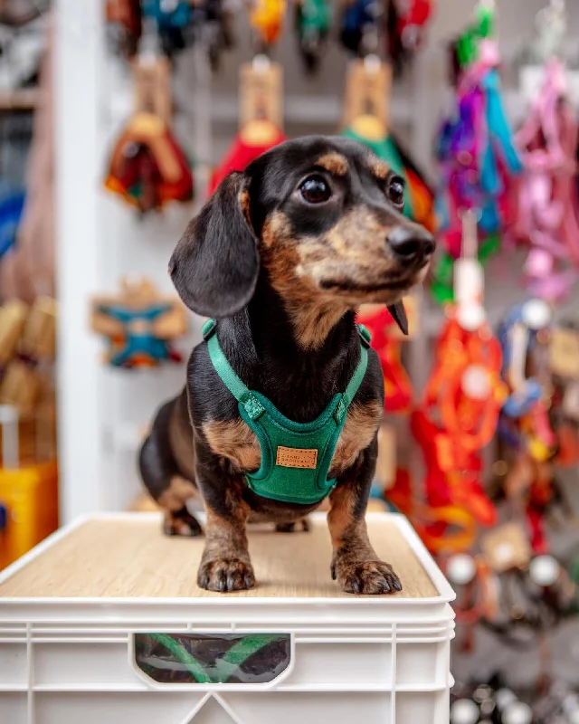 Comfort Dog Harness in Green