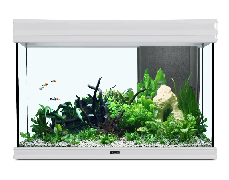 FUSION 80 AQUARIUM 80x40x55cm WHITE (without filtration)