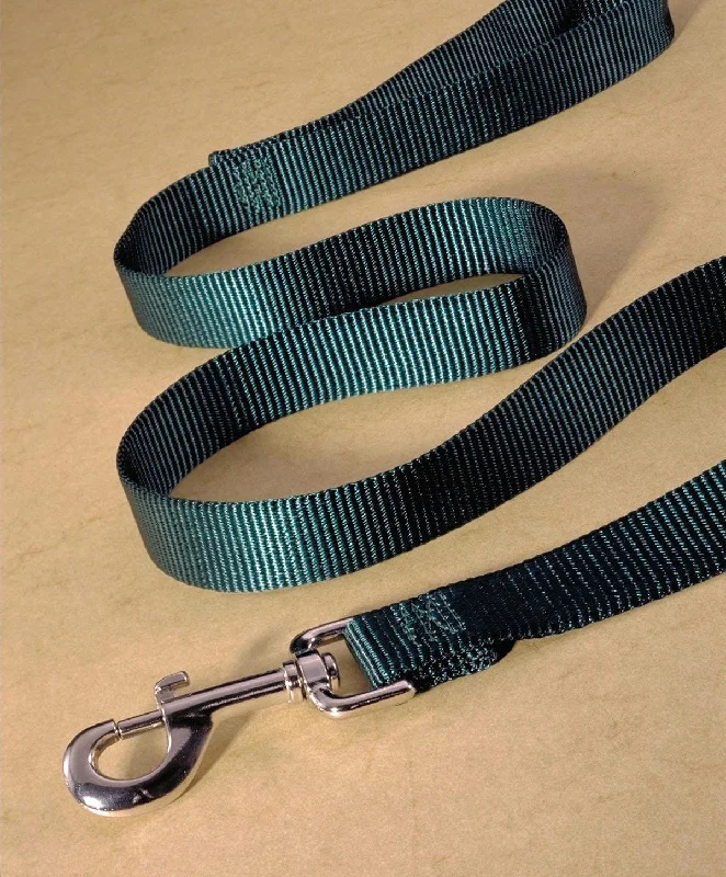 Single Thick Nylon Lead