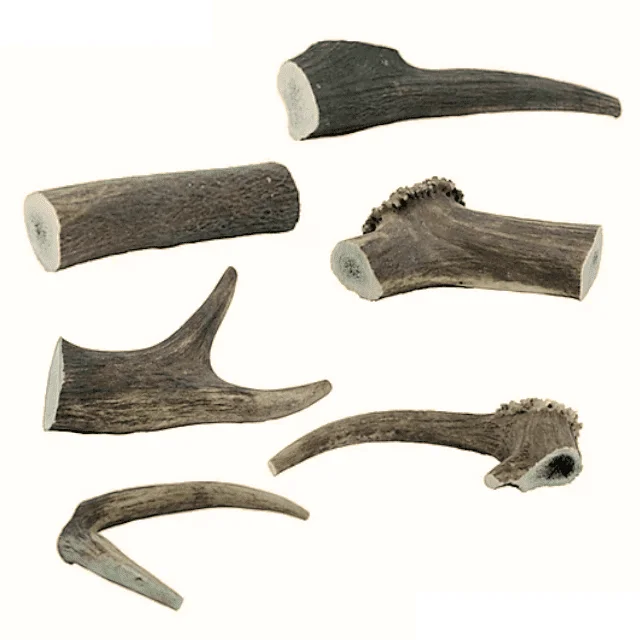 The Wild Antler Co. - Antler Chew - Large (100-150g)