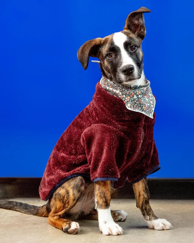 Zippy Dog Fleece in Burgundy (FINAL SALE)